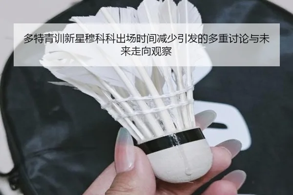 多特青训新星穆科科出场时间减少引发的多重讨论与未来走向观察